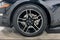 2023 Ford Mustang EcoBoost Premium Convertible