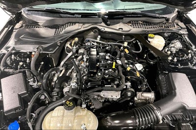 2023 Ford Mustang EcoBoost Premium Convertible