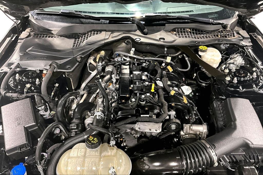 2023 Ford Mustang EcoBoost Premium Convertible